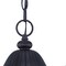 Homeroots 19.5 x 9 x 9 in. Capri 3-Light Black Coral Hanging Light 397982 - alternate 4